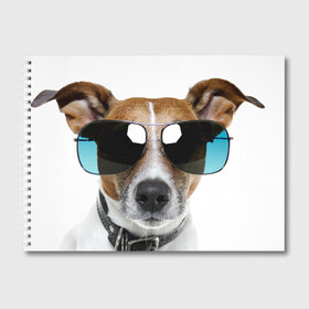 Альбом для рисования с принтом Джек Рассел в очках в Курске, 100% бумага
 | матовая бумага, плотность 200 мг. | волкодав | дворняжка | джек | джек рассел | домашние животные | любимец | мопс | овчарка | пес | песик | питомец | рассел | сенбернар | собака | собачка