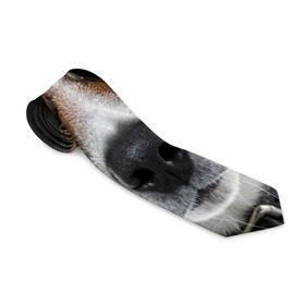 Галстук 3D с принтом Джек Рассел в очках в Курске, 100% полиэстер | Длина 148 см; Плотность 150-180 г/м2 | волкодав | дворняжка | джек | джек рассел | домашние животные | любимец | мопс | овчарка | пес | песик | питомец | рассел | сенбернар | собака | собачка