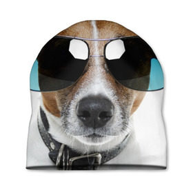 Шапка 3D с принтом Джек Рассел в очках в Курске, 100% полиэстер | универсальный размер, печать по всей поверхности изделия | волкодав | дворняжка | джек | джек рассел | домашние животные | любимец | мопс | овчарка | пес | песик | питомец | рассел | сенбернар | собака | собачка