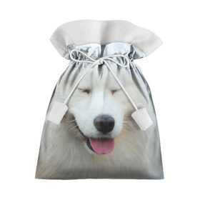 Подарочный 3D мешок с принтом Самоед в Курске, 100% полиэстер | Размер: 29*39 см | Тематика изображения на принте: далматин | лабрадор | любимец | овчарка | пес | питомец | самоед | собака | собачка | щенок