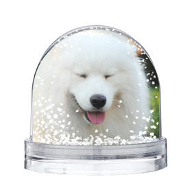 Снежный шар с принтом Самоед в Курске, Пластик | Изображение внутри шара печатается на глянцевой фотобумаге с двух сторон | далматин | лабрадор | любимец | овчарка | пес | питомец | самоед | собака | собачка | щенок