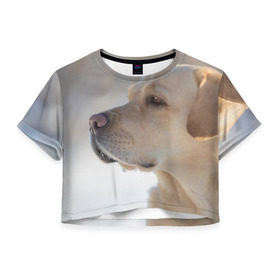 Женская футболка 3D укороченная с принтом Лабрадор в Курске, 100% полиэстер | круглая горловина, длина футболки до линии талии, рукава с отворотами | далматин | далматинец | дворняга | лабрадор | любимец | овчарка | пес | питомец | самоед | собака | собачка | щенок