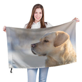 Флаг 3D с принтом Лабрадор в Курске, 100% полиэстер | плотность ткани — 95 г/м2, размер — 67 х 109 см. Принт наносится с одной стороны | далматин | далматинец | дворняга | лабрадор | любимец | овчарка | пес | питомец | самоед | собака | собачка | щенок
