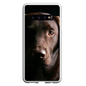 Чехол для Samsung Galaxy S10 с принтом Лабрадор в Курске, Силикон | Область печати: задняя сторона чехла, без боковых панелей | далматин | далматинец | дворняга | лабрадор | любимец | овчарка | пес | питомец | самоед | собака | собачка | щенок