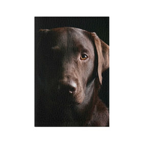 Обложка для паспорта матовая кожа с принтом Лабрадор в Курске, натуральная матовая кожа | размер 19,3 х 13,7 см; прозрачные пластиковые крепления | Тематика изображения на принте: далматин | далматинец | дворняга | лабрадор | любимец | овчарка | пес | питомец | самоед | собака | собачка | щенок