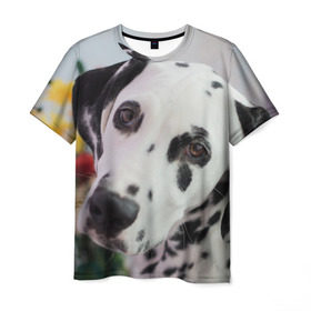 Мужская футболка 3D с принтом Далматин в Курске, 100% полиэфир | прямой крой, круглый вырез горловины, длина до линии бедер | акита | акита ину | далматин | далматинец | дворняга | ину | лабрадор | любимец | овчарка | пес | питомец | самоед | сиба | сиба ину | собака | собачка | щенок