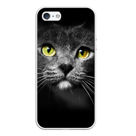 Чехол для iPhone 5/5S матовый с принтом Кошачий взгляд в Курске, Силикон | Область печати: задняя сторона чехла, без боковых панелей | взгляд | взор | глаза | киска | кот | котёнок | кошка | усы