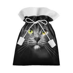 Подарочный 3D мешок с принтом Кошачий взгляд в Курске, 100% полиэстер | Размер: 29*39 см | взгляд | взор | глаза | киска | кот | котёнок | кошка | усы