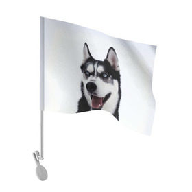 Флаг для автомобиля с принтом Сибирский хаски в Курске, 100% полиэстер | Размер: 30*21 см | взгляд | голубые глаза | зима | сибирь | снег | собака | хаски | хаски бандит | холод