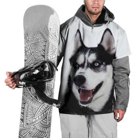 Накидка на куртку 3D с принтом Сибирский хаски в Курске, 100% полиэстер |  | взгляд | голубые глаза | зима | сибирь | снег | собака | хаски | хаски бандит | холод