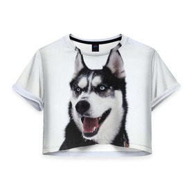 Женская футболка 3D укороченная с принтом Сибирский хаски в Курске, 100% полиэстер | круглая горловина, длина футболки до линии талии, рукава с отворотами | взгляд | голубые глаза | зима | сибирь | снег | собака | хаски | хаски бандит | холод