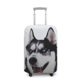 Чехол для чемодана 3D с принтом Сибирский хаски в Курске, 86% полиэфир, 14% спандекс | двустороннее нанесение принта, прорези для ручек и колес | взгляд | голубые глаза | зима | сибирь | снег | собака | хаски | хаски бандит | холод