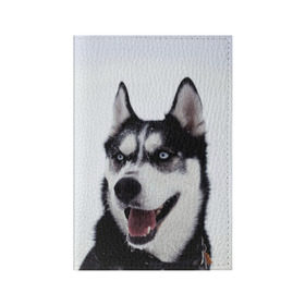 Обложка для паспорта матовая кожа с принтом Сибирский хаски в Курске, натуральная матовая кожа | размер 19,3 х 13,7 см; прозрачные пластиковые крепления | взгляд | голубые глаза | зима | сибирь | снег | собака | хаски | хаски бандит | холод