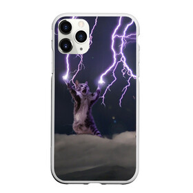 Чехол для iPhone 11 Pro матовый с принтом Грозовой кошак в Курске, Силикон |  | lightning cat