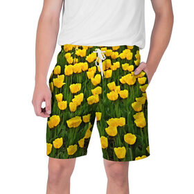 Мужские шорты 3D с принтом Жёлтые тюльпаны в Курске,  полиэстер 100% | прямой крой, два кармана без застежек по бокам. Мягкая трикотажная резинка на поясе, внутри которой широкие завязки. Длина чуть выше колен | поле | цветы | яркий