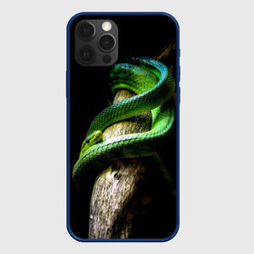 Чехол для iPhone 12 Pro с принтом Змея на груди в Курске, силикон | область печати: задняя сторона чехла, без боковых панелей | гадюка | дерево | джунгли | зелёный змей | змея | кобра | природа | удав