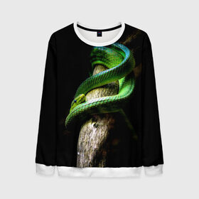 Мужской свитшот 3D с принтом Змея на груди в Курске, 100% полиэстер с мягким внутренним слоем | круглый вырез горловины, мягкая резинка на манжетах и поясе, свободная посадка по фигуре | гадюка | дерево | джунгли | зелёный змей | змея | кобра | природа | удав