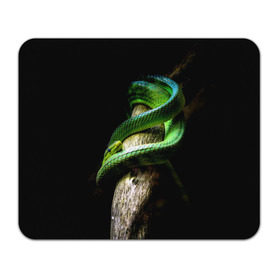 Коврик прямоугольный с принтом Змея на груди в Курске, натуральный каучук | размер 230 х 185 мм; запечатка лицевой стороны | гадюка | дерево | джунгли | зелёный змей | змея | кобра | природа | удав