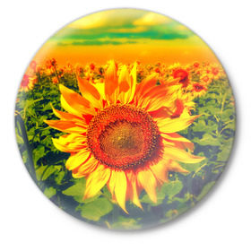 Значок с принтом Подсолнухи в Курске,  металл | круглая форма, металлическая застежка в виде булавки | лето | подсолнух | поле | природа | цветок | яркая