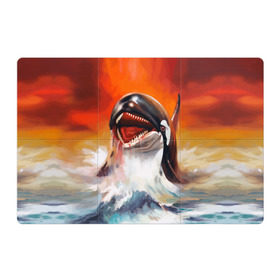 Магнитный плакат 3Х2 с принтом Касатка в Курске, Полимерный материал с магнитным слоем | 6 деталей размером 9*9 см | Тематика изображения на принте: art | blood | bright | color | creative | fantasy | ocean | orca whale | paint | picture | predator | sea | искусство | картина | касатка | кит | краски | кровь | море | океан | творчество | фантазия | хищник | цвет | яркие