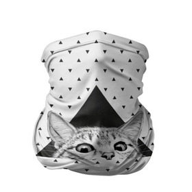 Бандана-труба 3D с принтом Взгляд кота в Курске, 100% полиэстер, ткань с особыми свойствами — Activecool | плотность 150‒180 г/м2; хорошо тянется, но сохраняет форму | animal | beast | cat | feline | kitty | meow | triangle | взгляд | геометрия | животное | зверь | китти | кот | котенок | кошка | мяу | треугольник