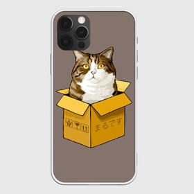 Чехол для iPhone 12 Pro Max с принтом Maru в Курске, Силикон |  | cat | maru | коробка | кот в коробке | кот мару | котейка | кошка | мару | прикол