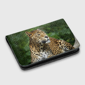 Картхолдер с принтом с принтом Леопард в Курске, натуральная матовая кожа | размер 7,3 х 10 см; кардхолдер имеет 4 кармана для карт; | Тематика изображения на принте: 