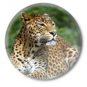 Значок с принтом Леопард в Курске,  металл | круглая форма, металлическая застежка в виде булавки | 