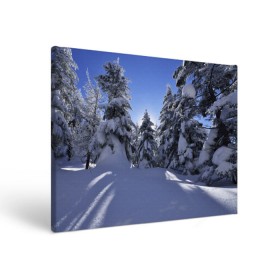 Холст прямоугольный с принтом Зимний лес в Курске, 100% ПВХ |  | Тематика изображения на принте: времена года | ель | зима | леса | лучи света | природа | снег