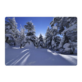 Магнитный плакат 3Х2 с принтом Зимний лес в Курске, Полимерный материал с магнитным слоем | 6 деталей размером 9*9 см | Тематика изображения на принте: времена года | ель | зима | леса | лучи света | природа | снег