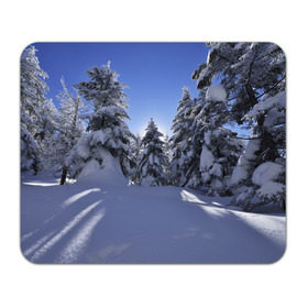 Коврик прямоугольный с принтом Зимний лес в Курске, натуральный каучук | размер 230 х 185 мм; запечатка лицевой стороны | Тематика изображения на принте: времена года | ель | зима | леса | лучи света | природа | снег