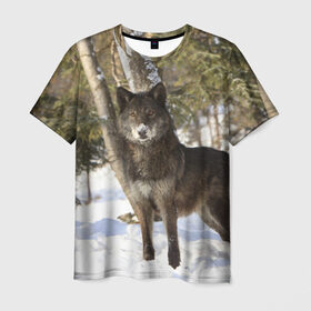 Мужская футболка 3D с принтом Король леса в Курске, 100% полиэфир | прямой крой, круглый вырез горловины, длина до линии бедер | волки | животные | зима | зимние | картинки | снег | фото