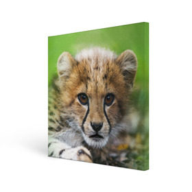 Холст квадратный с принтом Котёнок гепарда в Курске, 100% ПВХ |  | гепард | дикая кошка | котёнок | кошка | лев | природа | тигр | хищник | ягуар