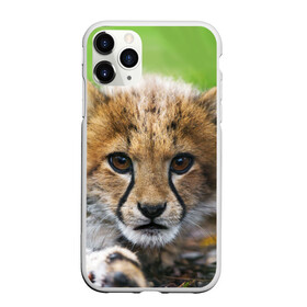 Чехол для iPhone 11 Pro матовый с принтом Котёнок гепарда в Курске, Силикон |  | гепард | дикая кошка | котёнок | кошка | лев | природа | тигр | хищник | ягуар