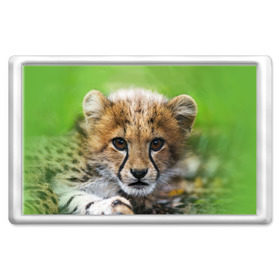 Магнит 45*70 с принтом Котёнок гепарда в Курске, Пластик | Размер: 78*52 мм; Размер печати: 70*45 | гепард | дикая кошка | котёнок | кошка | лев | природа | тигр | хищник | ягуар