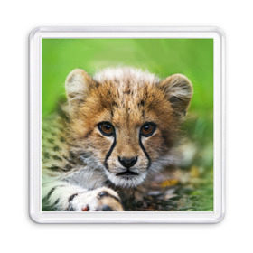 Магнит 55*55 с принтом Котёнок гепарда в Курске, Пластик | Размер: 65*65 мм; Размер печати: 55*55 мм | гепард | дикая кошка | котёнок | кошка | лев | природа | тигр | хищник | ягуар