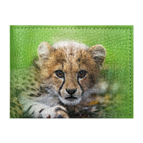 Обложка для студенческого билета с принтом Котёнок гепарда в Курске, натуральная кожа | Размер: 11*8 см; Печать на всей внешней стороне | гепард | дикая кошка | котёнок | кошка | лев | природа | тигр | хищник | ягуар