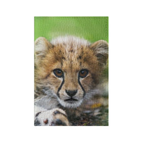 Обложка для паспорта матовая кожа с принтом Котёнок гепарда в Курске, натуральная матовая кожа | размер 19,3 х 13,7 см; прозрачные пластиковые крепления | Тематика изображения на принте: гепард | дикая кошка | котёнок | кошка | лев | природа | тигр | хищник | ягуар