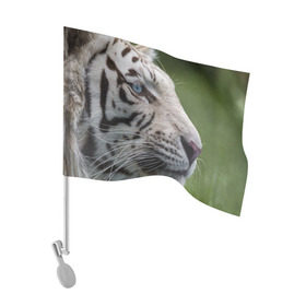 Флаг для автомобиля с принтом Белый тигр в Курске, 100% полиэстер | Размер: 30*21 см | абессинкая | домашние | животные | кот | котенок | кошка | порода | сиамская | тигр | хищник