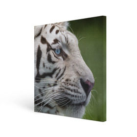 Холст квадратный с принтом Белый тигр в Курске, 100% ПВХ |  | Тематика изображения на принте: абессинкая | домашние | животные | кот | котенок | кошка | порода | сиамская | тигр | хищник