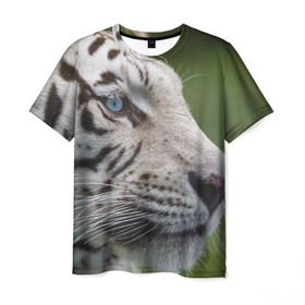 Мужская футболка 3D с принтом Белый тигр в Курске, 100% полиэфир | прямой крой, круглый вырез горловины, длина до линии бедер | абессинкая | домашние | животные | кот | котенок | кошка | порода | сиамская | тигр | хищник