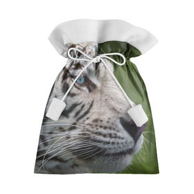 Подарочный 3D мешок с принтом Белый тигр в Курске, 100% полиэстер | Размер: 29*39 см | Тематика изображения на принте: абессинкая | домашние | животные | кот | котенок | кошка | порода | сиамская | тигр | хищник