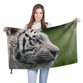 Флаг 3D с принтом Белый тигр в Курске, 100% полиэстер | плотность ткани — 95 г/м2, размер — 67 х 109 см. Принт наносится с одной стороны | абессинкая | домашние | животные | кот | котенок | кошка | порода | сиамская | тигр | хищник
