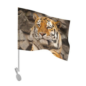 Флаг для автомобиля с принтом Тигр в Курске, 100% полиэстер | Размер: 30*21 см | амурский | животные | киса | кот | котенок | кошка | пума | рысь | серый | тигр | хищник