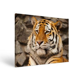 Холст прямоугольный с принтом Тигр в Курске, 100% ПВХ |  | Тематика изображения на принте: амурский | животные | киса | кот | котенок | кошка | пума | рысь | серый | тигр | хищник
