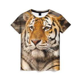 Женская футболка 3D с принтом Тигр в Курске, 100% полиэфир ( синтетическое хлопкоподобное полотно) | прямой крой, круглый вырез горловины, длина до линии бедер | амурский | животные | киса | кот | котенок | кошка | пума | рысь | серый | тигр | хищник