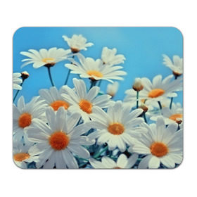 Коврик прямоугольный с принтом Ромашки в Курске, натуральный каучук | размер 230 х 185 мм; запечатка лицевой стороны | flower | цветы