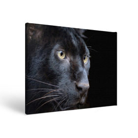 Холст прямоугольный с принтом Черная пантера в Курске, 100% ПВХ |  | Тематика изображения на принте: животные | кис | киска | кот | котенок | котик | кошечка | кошка | пантера | рысь | тигр | хищник