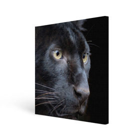 Холст квадратный с принтом Черная пантера в Курске, 100% ПВХ |  | Тематика изображения на принте: животные | кис | киска | кот | котенок | котик | кошечка | кошка | пантера | рысь | тигр | хищник