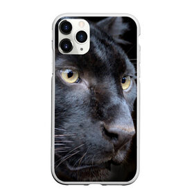 Чехол для iPhone 11 Pro матовый с принтом Черная пантера в Курске, Силикон |  | животные | кис | киска | кот | котенок | котик | кошечка | кошка | пантера | рысь | тигр | хищник